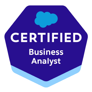 Certified Business Analyst